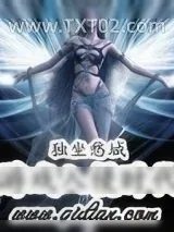 《游戏入侵时代》小说封面